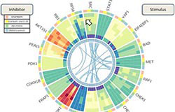 Rice team rises to big data challenge