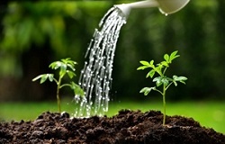 nurture marketing technology