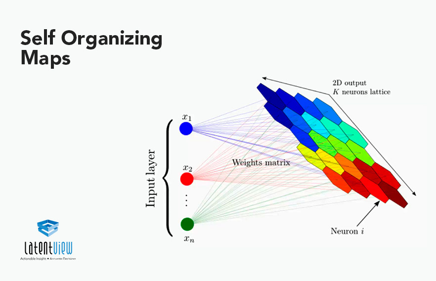 Politica Reddito stivale self organizing map algorithm Superare Rana ...