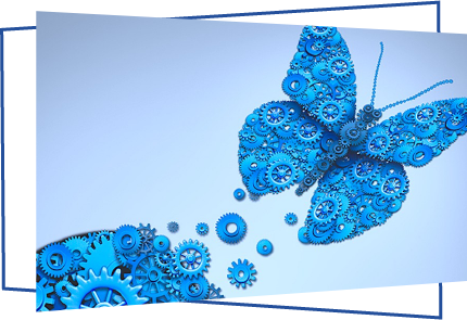butterfly