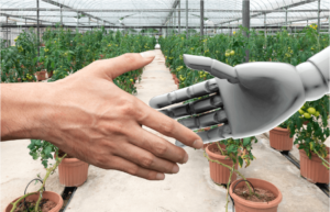 Implementing IT in the Indian Agriculture Sector A Value Chain Analysis 882x568 1