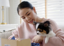 Subscriptions in a Dog-Eat-Dog World