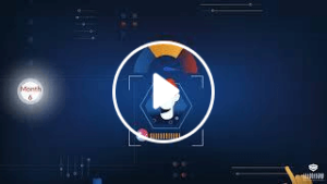 case studies video 2