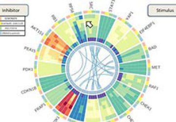 Rice-team-rises-to-big-data-challenge