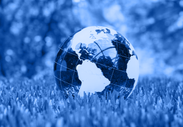 The FIFA World Cup Shows Why CPG Growth Is Ecosystem vs. Ecosystem