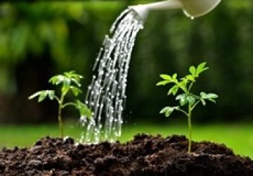 nurture-marketing-technology